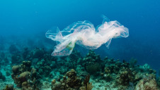 Deep-sea mining also posed a new threat to the oceans, and should be closely regulated, the report suggested